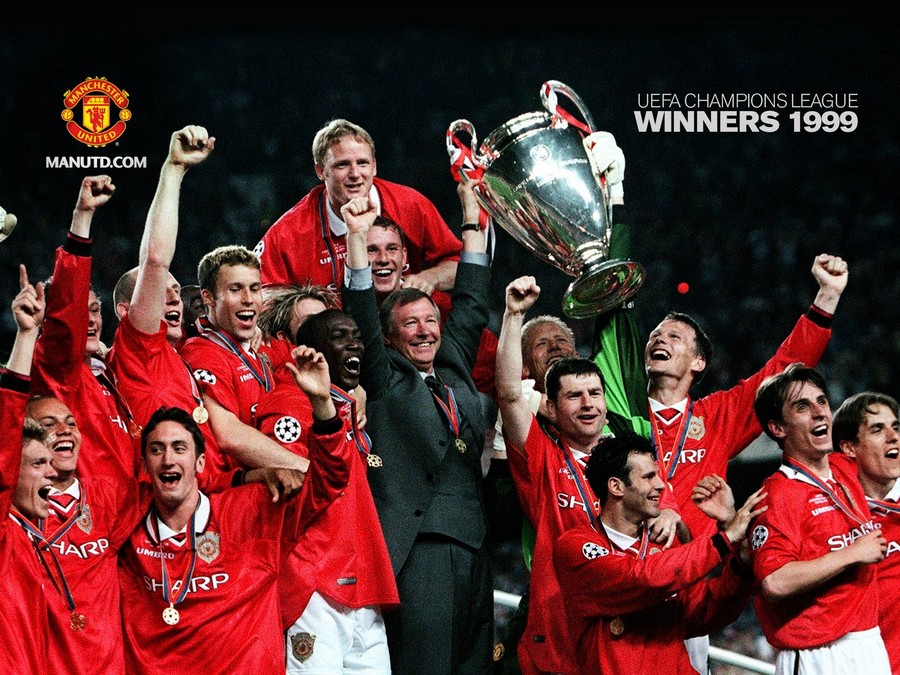 森林狼和太 森林狼和太